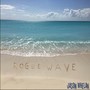 Rogue Wave