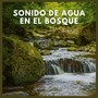 Sonido de Agua en el Bosque