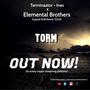 Torm ((Liquid Dnb Mix))