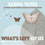 What's Left Of Us (feat. Salem Roberts, Bxuxart & The Iddy-Biddies)