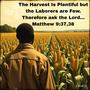 The Harvest Is Plentiful but the Laborers are Few. Therefore ask the Lord... Matthew 9:37, 38