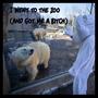 I Went to the Zoo (And Got Me a *****) (feat. Jeff Sebastian Altburg) [Explicit]