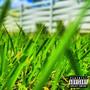 TOUCHING GRASS* (Explicit)