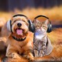 Pet Whimsy: Music for Your Furry Friends