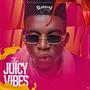 The Juicy Vibez Mixtape (Explicit)