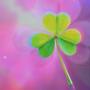 clovers (Explicit)