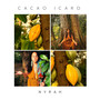 Cacao Icaro