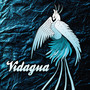 Vidagua