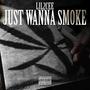 Just wanna smoke (Explicit)