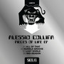 Pieces of life EP