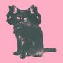cupid (feat. Wheresjordxn) [Explicit]