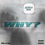 Why (Explicit)