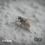 Fly On the Wall (Explicit)