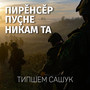 Пирĕнсĕр пуçне никам та