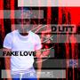 Fake Love (D-Litt)