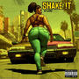 SHAKE !T (Explicit)