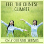 Feel the Chinese Climate: Only Oriental Sounds – Instrumental for Meditation, Spa, Massage, Yoga