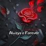 Always & Forever (Explicit)