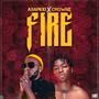 Fire (feat. Crownz)