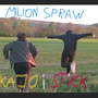 Milion spraw