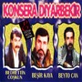 Konsera Diyarbekir