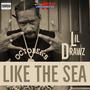 Like the Sea (feat. Lil Drawz) [Explicit]