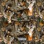 Bucks Wild (Explicit)