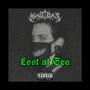 Lost at Sea (Explicit)