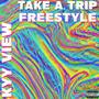 Take A Trip (Freestyle) [Explicit]