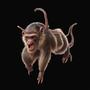 Spanking Monkey Talk