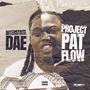 Project Pat Flow (Explicit)