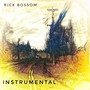 Instrumental