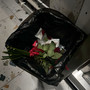 No Te Compro Flores (Explicit)