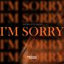 I'm Sorry (feat. Helsa)