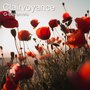 Clairvoyance (Synesthesia Mix)