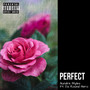 Perfect (Explicit)