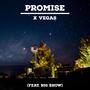 Promise (feat. Big $how)