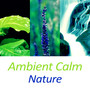 Ambient Calm Nature – Soft Music for Your Mind, Nature Sounds, Relax with Nature Sounds, Healing Rain