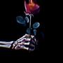 The Devil's In The Details (Explicit)
