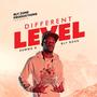 Different Level (Explicit)