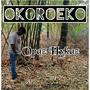 Okoroeko