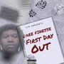 First Day Out Freestyle (Explicit)