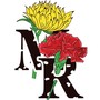Red rose