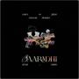 Saaradhi (feat. REDOX)