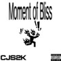 Moment of Bliss (Explicit)