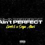 Aint PERFECT (feat. Sega Atari) [Explicit]