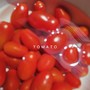 種種 TOMATO