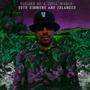 Visions Of A Chill World (Explicit)