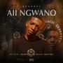 Aii Ngwano (feat. T.&.C, Buddy_zar & Ben'ten)