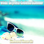 Endless Summer - Single